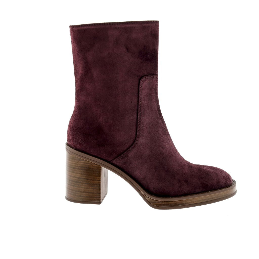 BOTIN TACON MABEL VELOUR CHIENTI