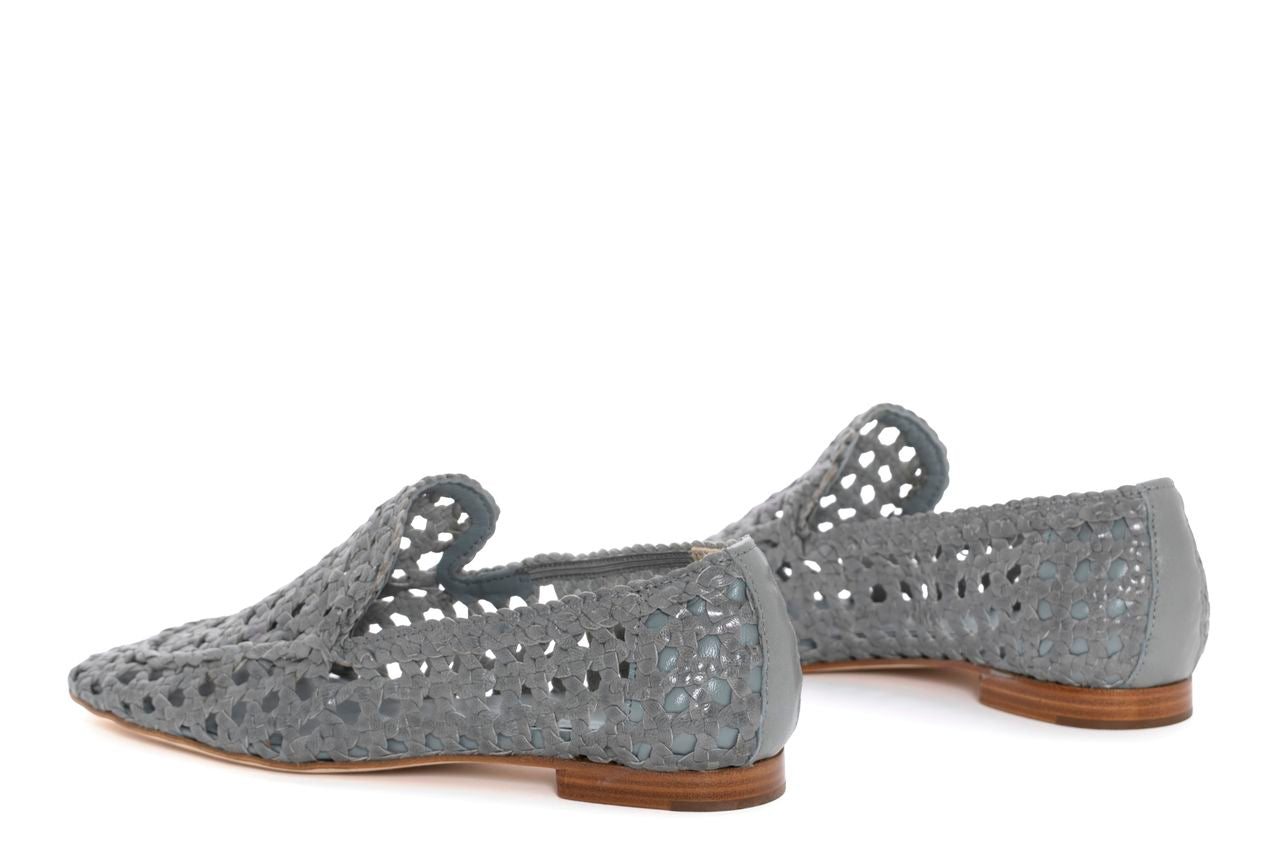 MOCASIN MOLLY ALGA
