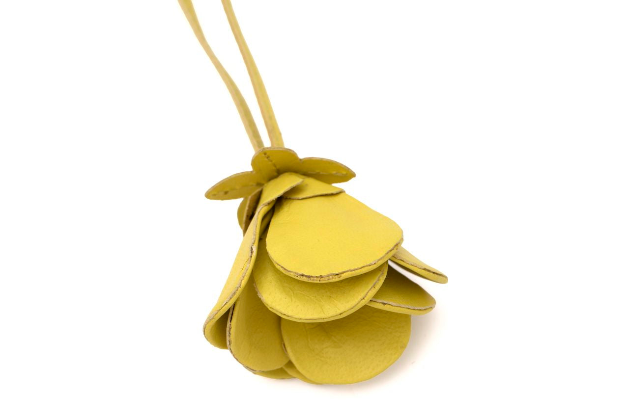 CHARM V257 LIMA