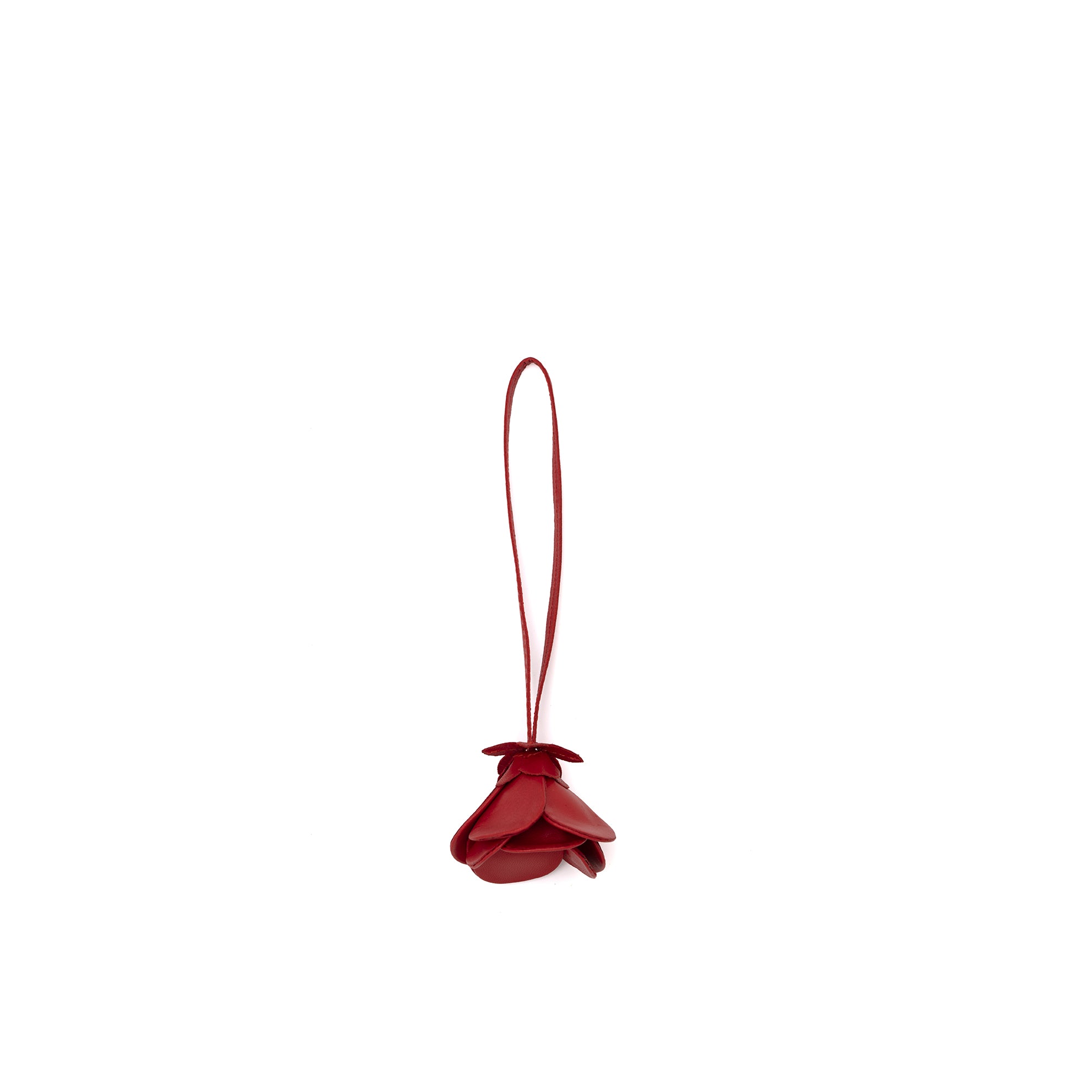 CHARM V257 CEREZA